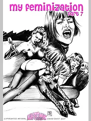 My Feminization by Lustomic, Chapter 007